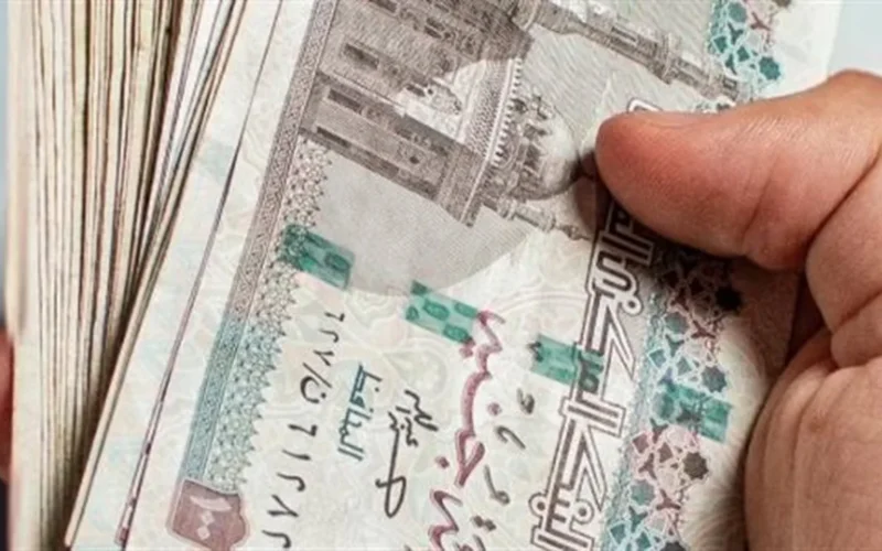 تخصيص 8 مليارات جنيه لدعم المواطنين عبر منصة مصر الرقمية بمناسبة شهر رمضان